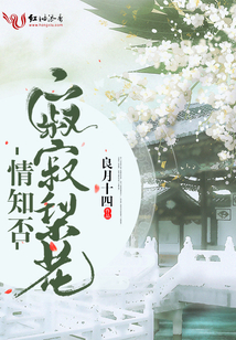 寂寂梨花情知否