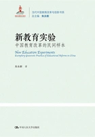 新教育实验:中国教育改革的民间样本在线阅读
