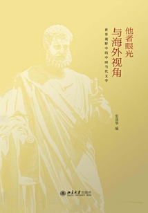 他者眼光與海外視角