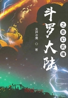 斗罗大陆之奇幻武魂在线阅读