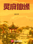 灵府仙缘