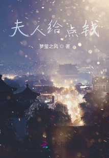夫人给点钱