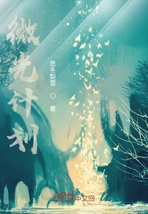 微光計劃