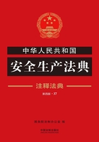 中华人民共和国安全生产法典：注释法典（2018年版）