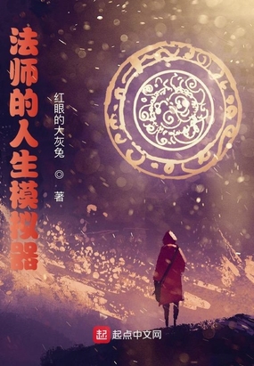 法师的人生模拟器在线阅读