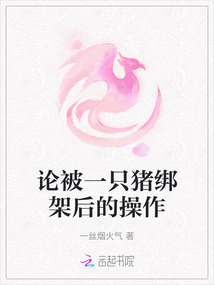 論被一只豬綁架后的操作