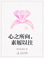 心之所向,素履以往在线阅读