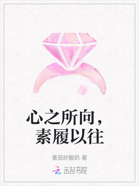 心之所向,素履以往最新章节全文无弹窗在线阅读-QQ阅读男生中文历史网