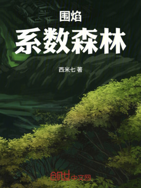 围焰：系数森林在线阅读