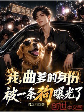 我，曲爹的身份被一条狗曝光了！在线阅读