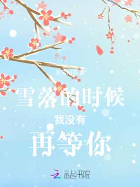 雪落的时候我没有再等你在线阅读
