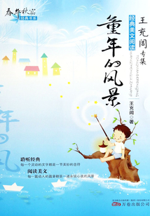 春華秋實經典書系：童年的風景