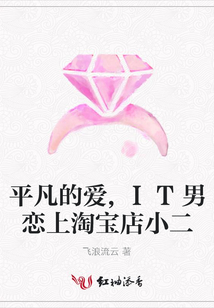 平凡的愛(ài),IT男戀上淘寶店小二