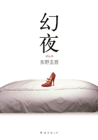 幻夜在线阅读