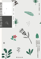 很美很美的世界诗歌