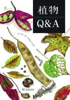 植物Q&A