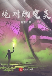 绝对的完美