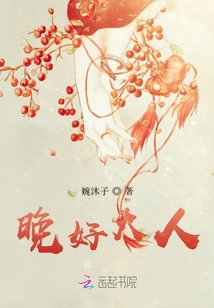 晚好大人