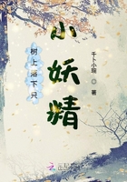 樹上落下只小妖精在線閱讀