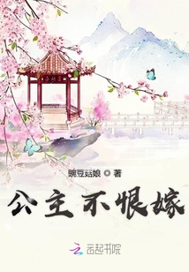 公主不恨嫁