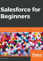 Salesforce for Beginners在线阅读