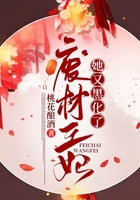 废材王妃她又黑化了在线阅读
