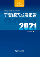 宁夏经济发展报告.2021