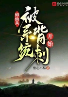 系统流