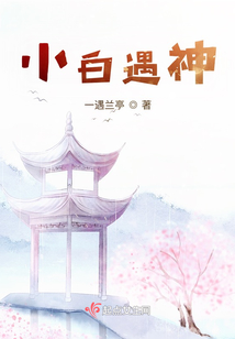 小白遇神