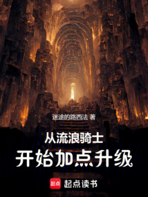 從流浪騎士開始加點升級