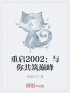 重启2002:与你共筑巅峰在线阅读