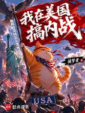 我在美国搞内战在线阅读