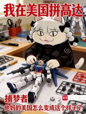 我在美国拼高达在线阅读