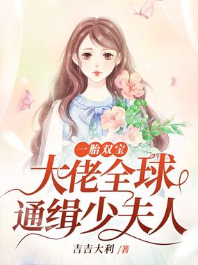 一胎双宝,大佬全球通缉少夫人在线阅读
