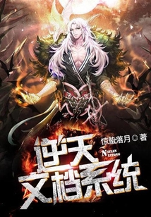 逆天文档系统 cover