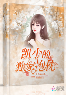 凯少的独家抱枕