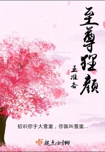 至尊貍顏