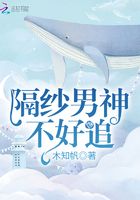 隔紗男神不好追在線閱讀