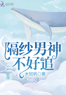 隔紗男神不好追