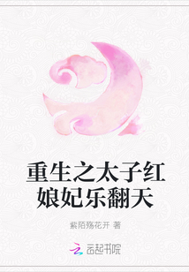 重生之太子紅娘妃樂翻天
