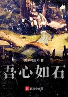 吾心如石在线阅读