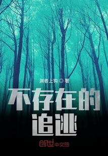 不存在的追逃
