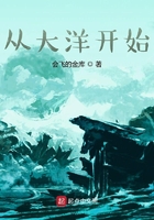 从大海开始在线阅读