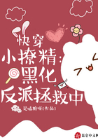 快穿小撩精：黑化反派拯救中在線閱讀