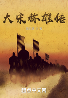 大宋称雄传在线阅读