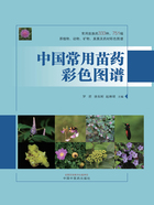中国常用苗药彩色图谱在线阅读