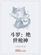 斗罗:绝世枪神在线阅读