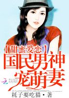 甜蜜爱恋:国民男神宠萌妻