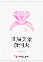 良辰美景奈何天在線閱讀