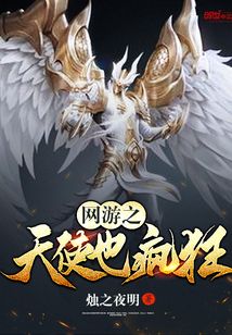 網游之天使也瘋狂